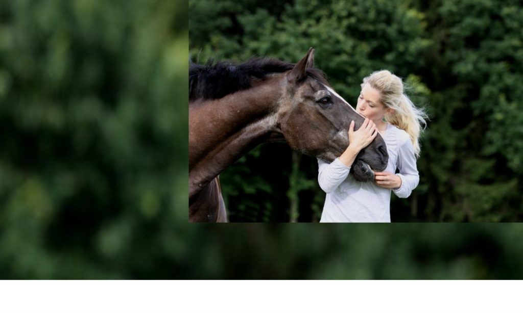 April 25, 2023 See ScienceDaily and Equus Magazine Articles How a