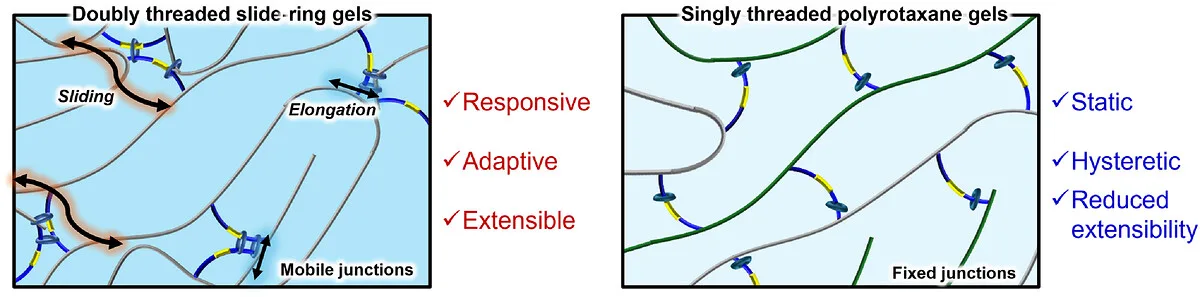 Impact of Threading State on the Mechanics of γ-Cyclodextrin–Pyrene Gels