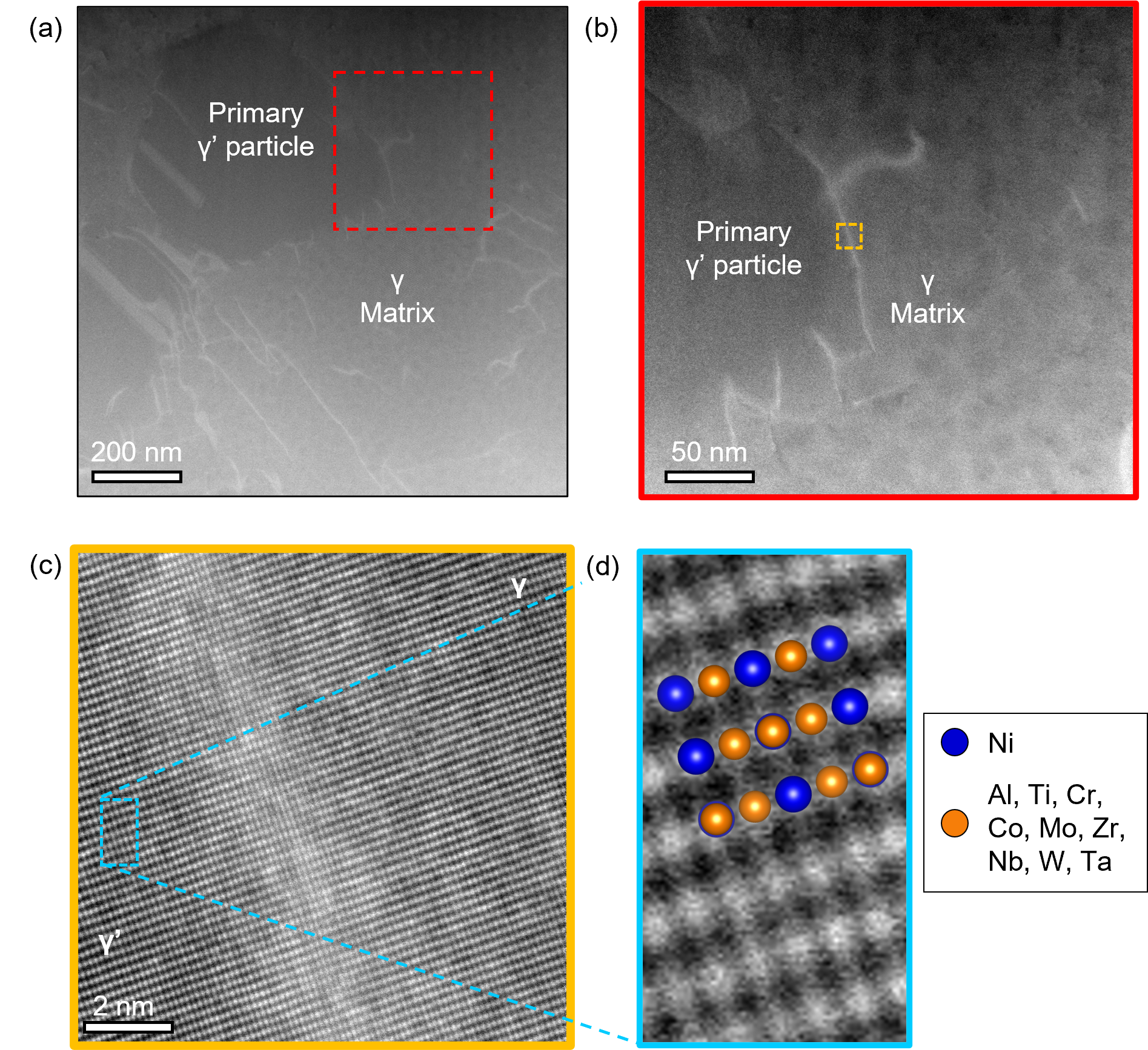 HAADF-STEM images of the LHSR alloy. a Low magnification image showing multiple primary γ′ particles. b Magnified image of the red dashed box in (a) that shows round, darker areas on the right side of the image, indicative of tertiary γ′ precipitates. c Magnified image of the dashed orange box in (b) highlighting the coherent γ-γ′ interface. d High magnification HAADF-STEM image along the [112] zone axis from (c) marked by the blue dashed box, showing the atomic structure of the L12 γ′ LHSR alloy.