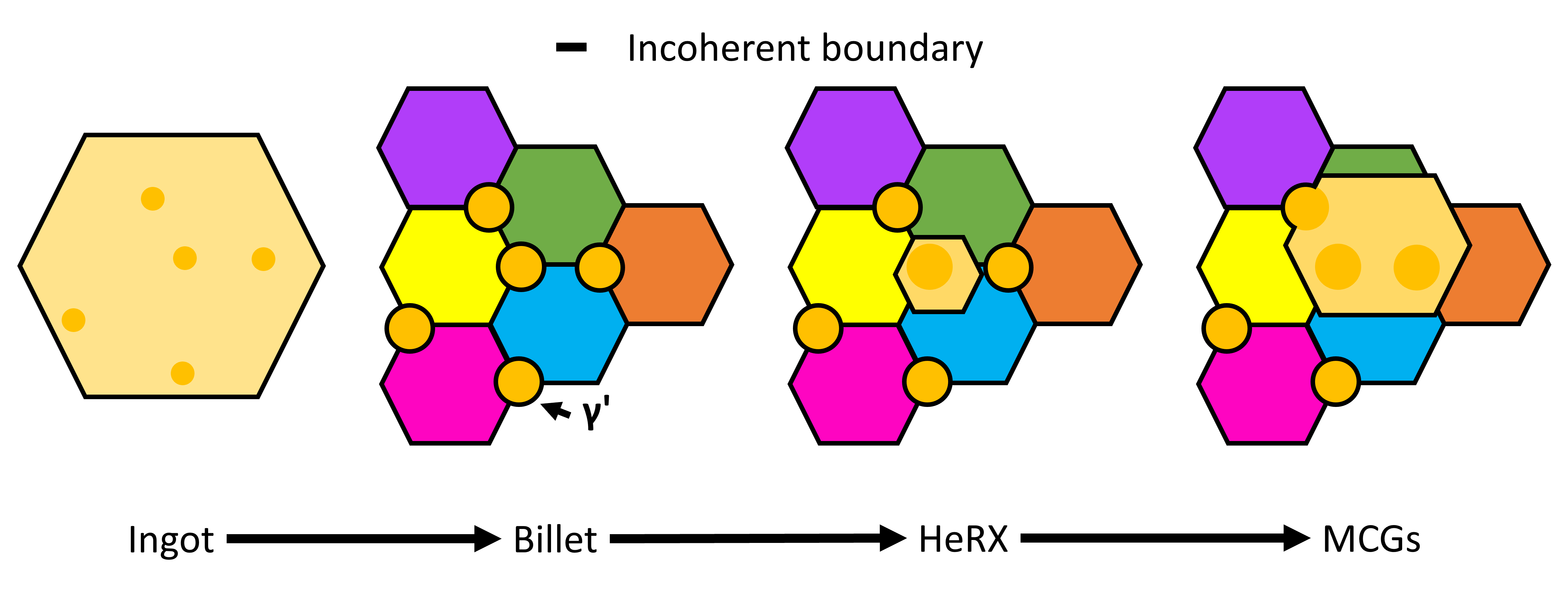 Schematic diagram illustrating the proposed mechanism of MCG formation. During ingot-to-billet processing, primary γ′ are coarsened but their local orientation is biased. Following sub-solvus hot deformation initiates HeRX nucleation from one γ′ particle. Finally, the growth of the HeRX grain forms MCGs.