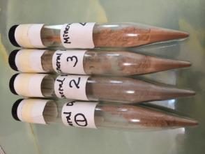 Sample vials of dust from the Gobi Desert