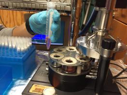 A lab tech handling a sample vial