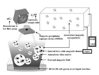 Diagram of a magnetic Precipitator