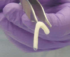 Clinical Translations