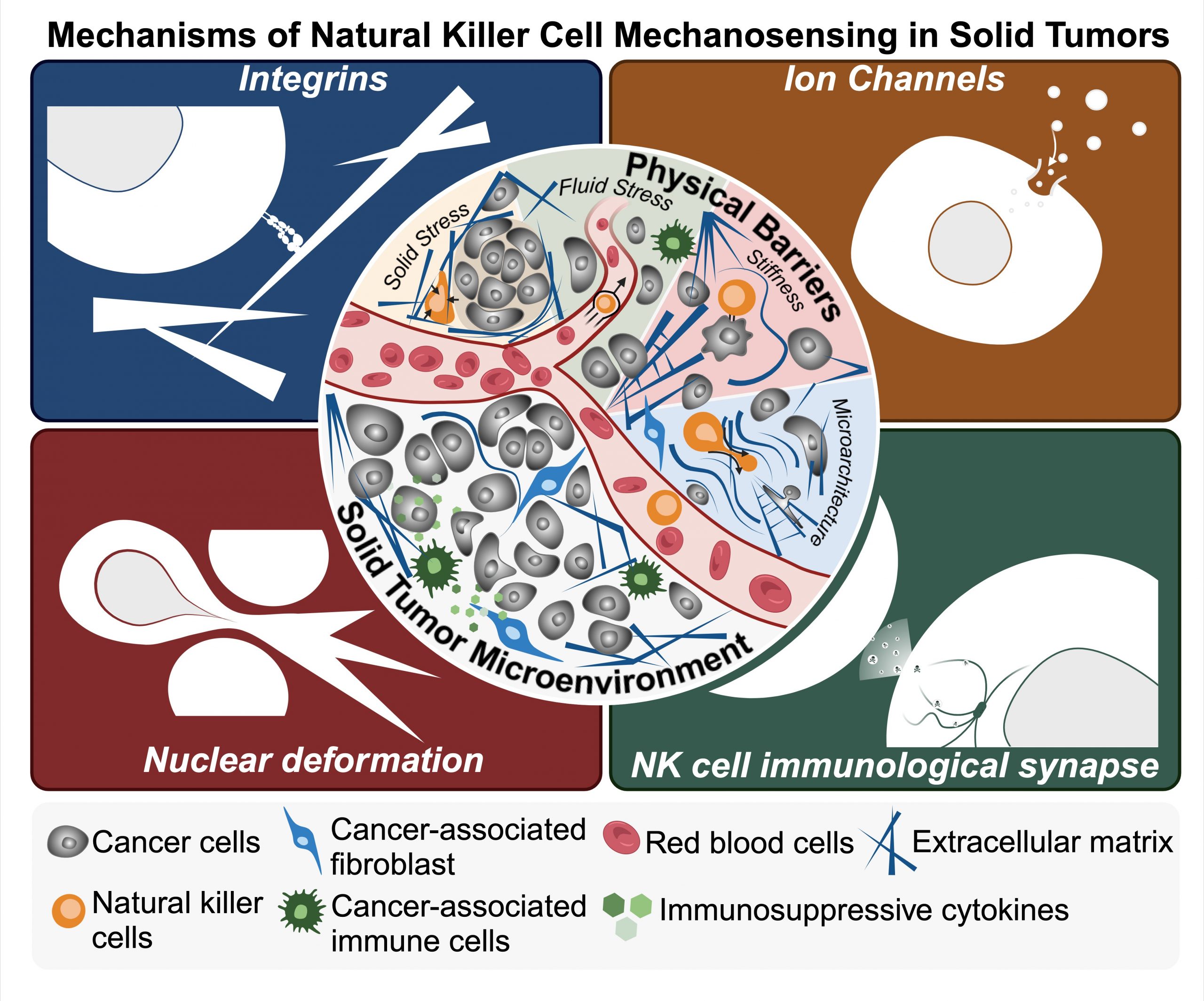 New paper alert!