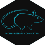 Sketch of mouse with words Acomys Research Consortium below