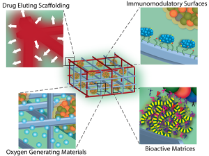 scaffold-interven-schematic